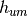 {h}_{um}